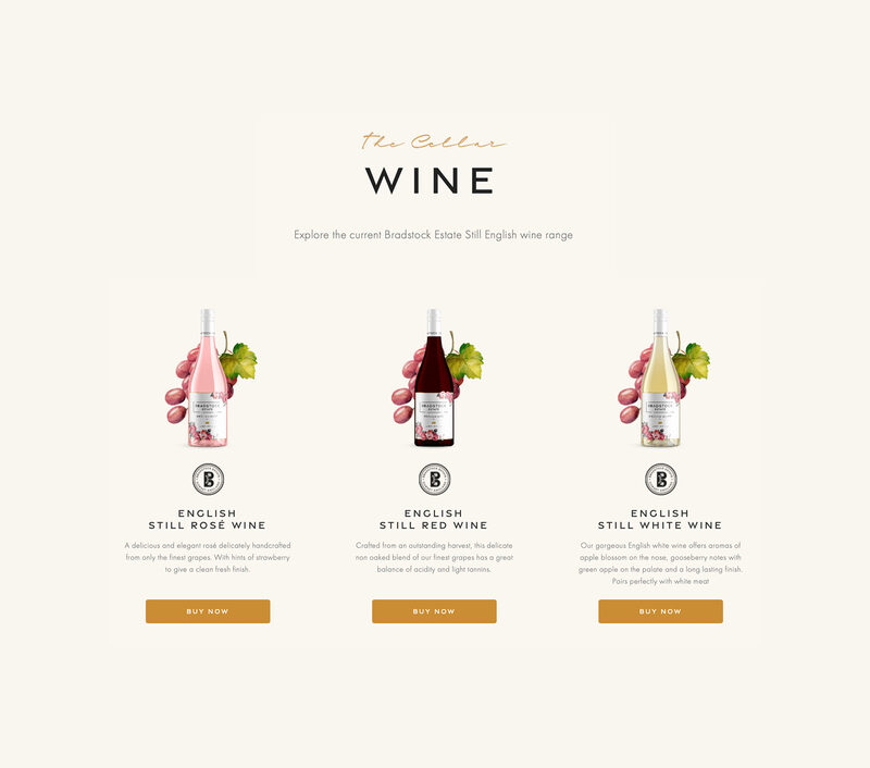 Ecommerce Website Essex