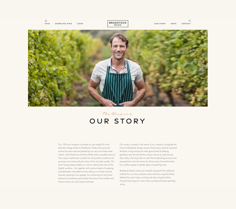 Ecommerce Website Essex