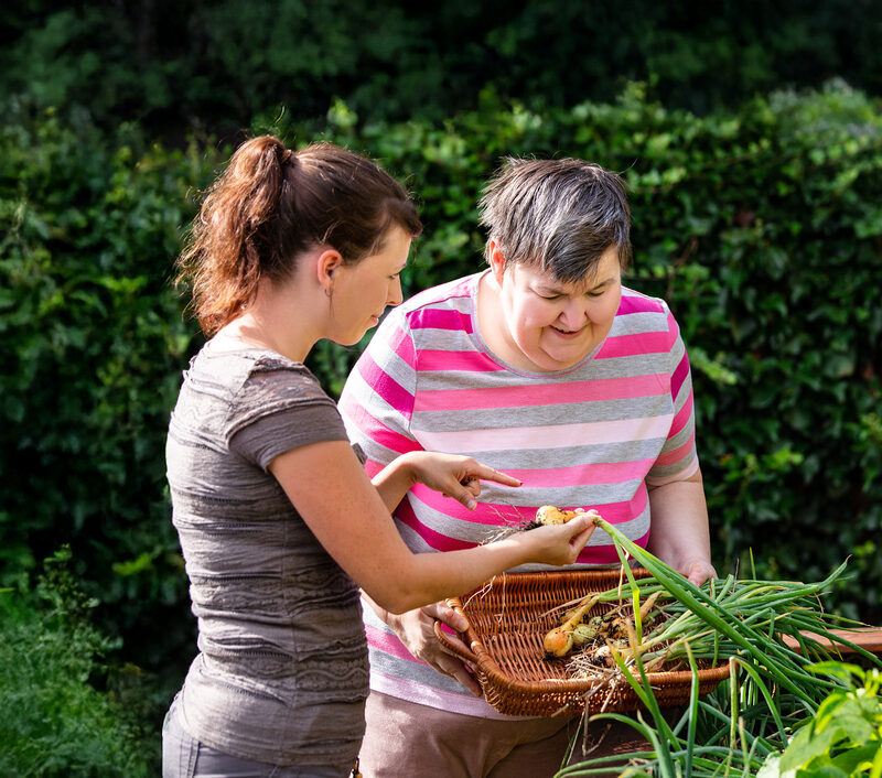 New Haven Care - Case Study